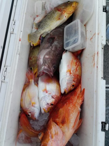 第二大福丸 釣果