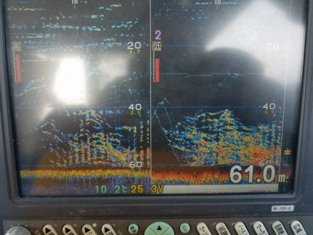 遊漁船　ニライカナイ 釣果