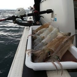 IDATEN（イダテン） 釣果