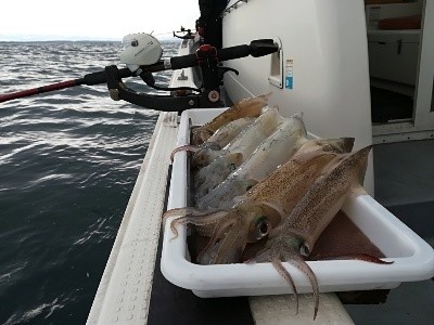 IDATEN（イダテン） 釣果