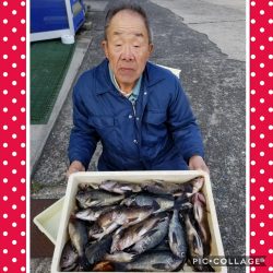 桑田観光 釣果
