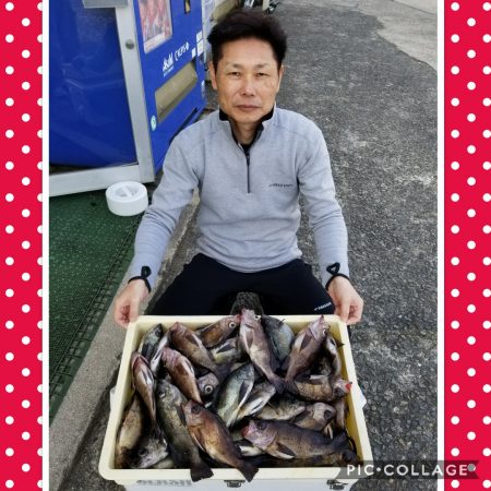 桑田観光 釣果