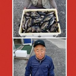 桑田観光 釣果