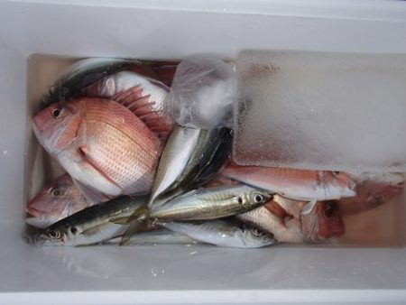 第二むつ漁丸 釣果