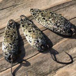 フィッシング サンクチュアリ 釣果