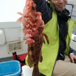 リトルワン 釣果