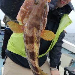 リトルワン 釣果