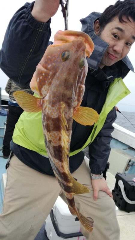 リトルワン 釣果