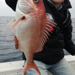 リトルワン 釣果