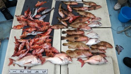 リトルワン 釣果