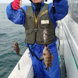 リトルワン 釣果