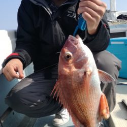 リトルワン 釣果