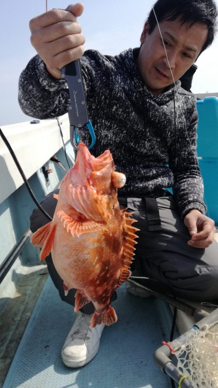 リトルワン 釣果