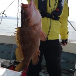 リトルワン 釣果