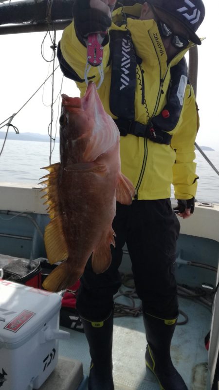 リトルワン 釣果