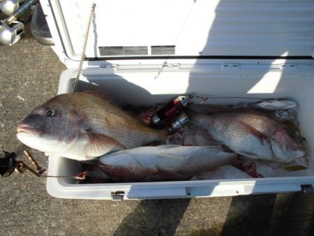 大進丸(新潟) 釣果