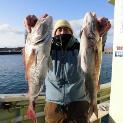 大進丸(新潟) 釣果