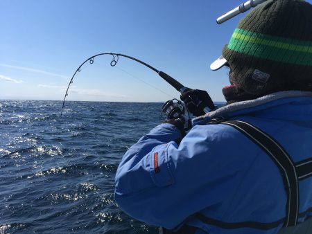 松鶴丸 釣果