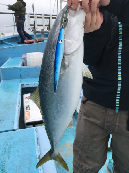 松鶴丸 釣果