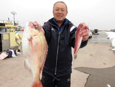 大進丸（新潟） 釣果