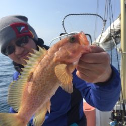 シーモンキー 釣果