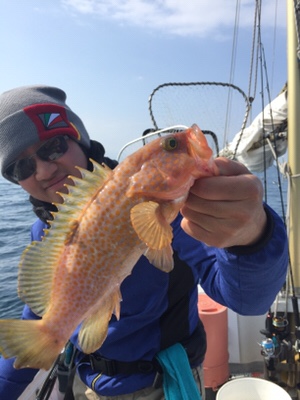 シーモンキー 釣果