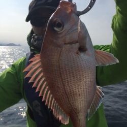 シーモンキー 釣果