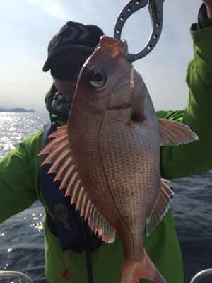 シーモンキー 釣果