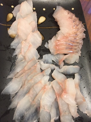 シーモンキー 釣果