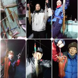 シードリーム 釣果