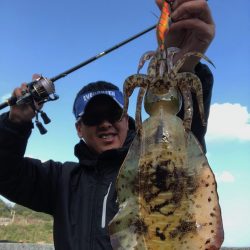 寒い時こそエギングへ！アオリイカの付場を絞って狙い撃ち★【ジャイアン氏連載記事No.18】