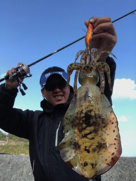 寒い時こそエギングへ！アオリイカの付場を絞って狙い撃ち★【ジャイアン氏連載記事No.18】