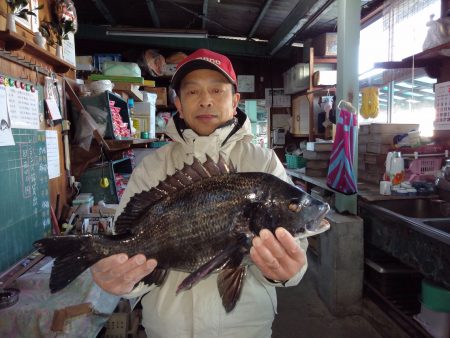 ふじや釣舟店 釣果