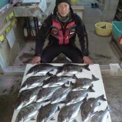 ふじや釣舟店 釣果