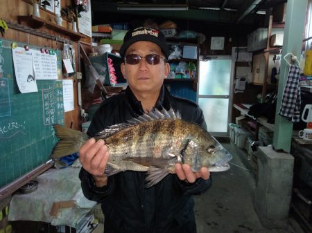 ふじや釣舟店 釣果