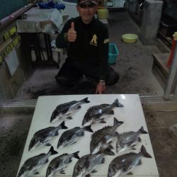 ふじや釣舟店 釣果