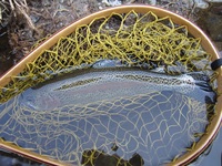 秩父フライフィールド 釣果