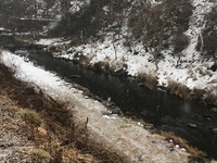 秩父フライフィールド 釣果