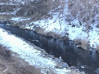 秩父フライフィールド 釣果