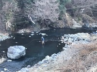 秩父フライフィールド 釣果