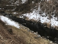 秩父フライフィールド 釣果