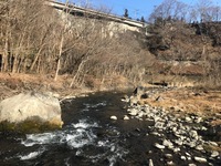 秩父フライフィールド 釣果