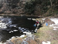 秩父フライフィールド 釣果