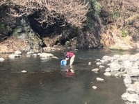 秩父フライフィールド 釣果