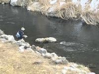 秩父フライフィールド 釣果