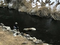 秩父フライフィールド 釣果