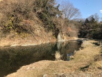 秩父フライフィールド 釣果