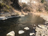 秩父フライフィールド 釣果