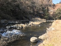 秩父フライフィールド 釣果