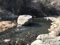 秩父フライフィールド 釣果